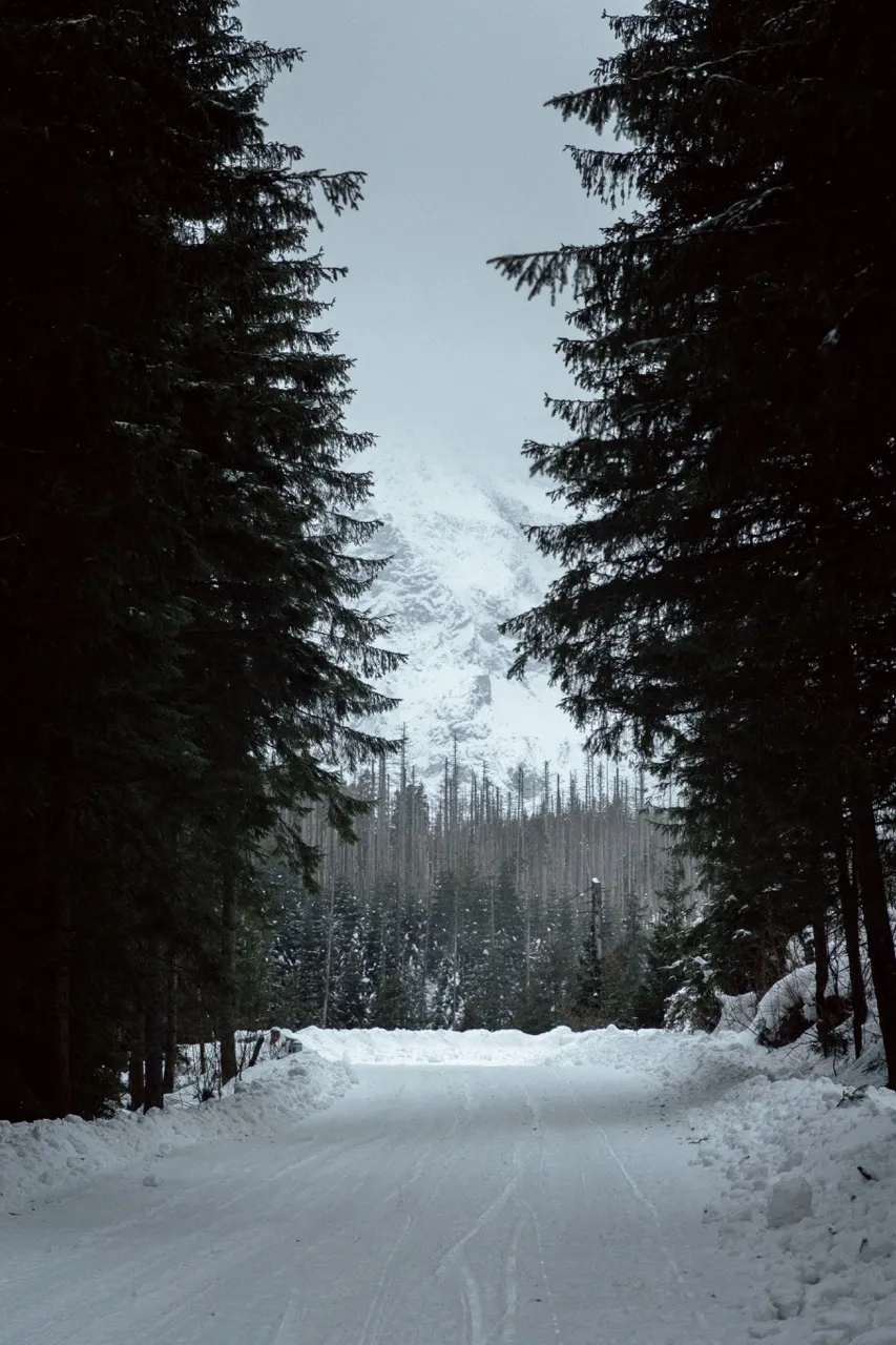 Mario Gonher Portfolio - Black and White